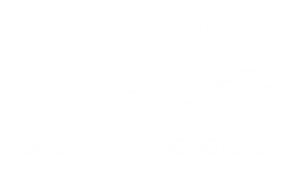 LOGO 20 - IGUANASELL